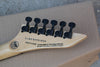 Top quality FDOH-9006 black color Electric Guitar