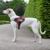 JUST FOR DOGS PERSONALIZED NO PULL DOG HARNESS