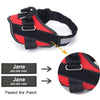 JUST FOR DOGS PERSONALIZED NO PULL DOG HARNESS