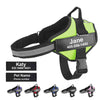 JUST FOR DOGS PERSONALIZED NO PULL DOG HARNESS